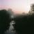 Morning Fog, Photography, Timothy Leistner